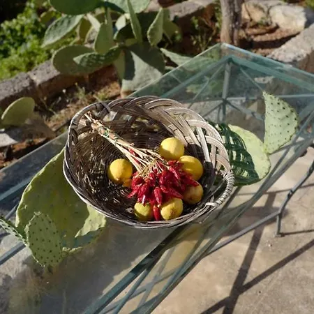 فندق Masseria Di Coccaro 3*